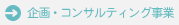 企画・コンサルタント事業
